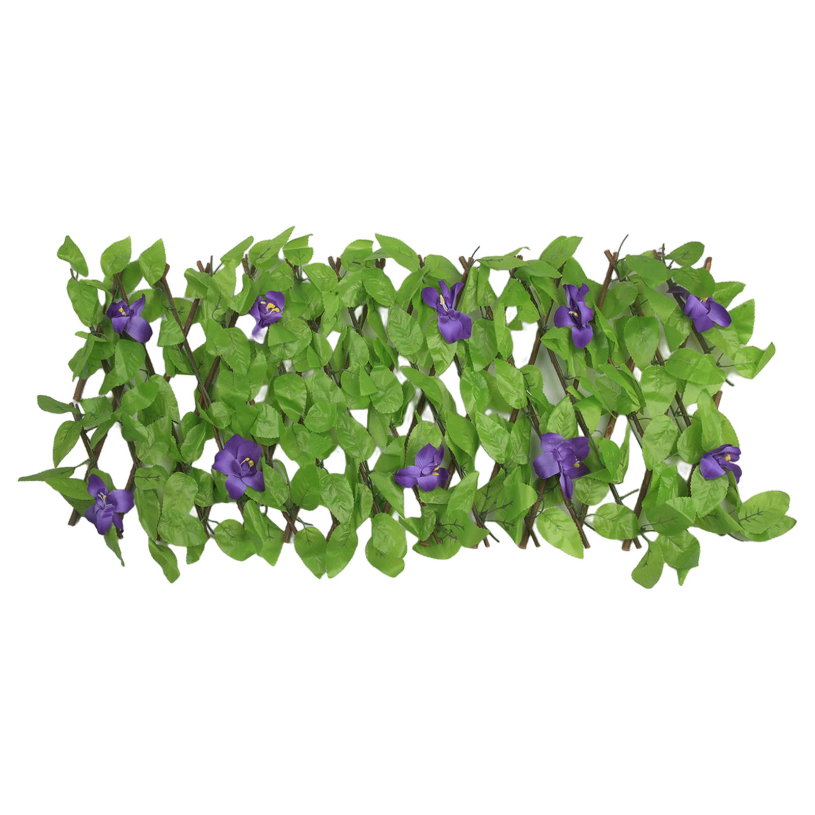 Borders Artificial Artificial  - đánh giá và giá Home Decor Range